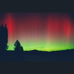 Aurora Over Rabbit Ears Peak, Colorado