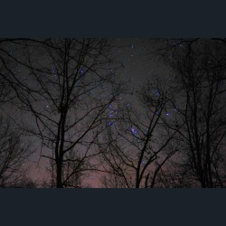 The Fainting of Betelgeuse 