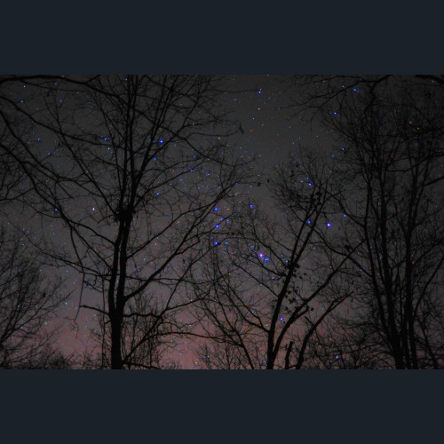 The Fainting of Betelgeuse The Fainting of Betelgeuse