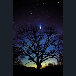 Comet Hale-Bopp Over Georgia #1 Comet Hale-Bopp Over Georgia #1
