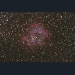 Rosette Nebula