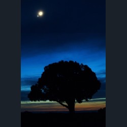 Venus and the Moon over Colorado National Monument (Tall)
