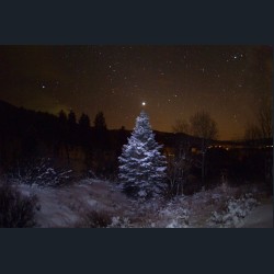 The Christmas Star